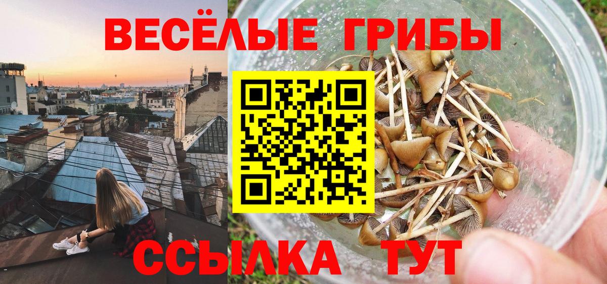 Спасск-Дальний  Галлюциногенные грибы MAGIC MUSHROOMS  Вход с VPN  Галлюциногенные грибы Psilocybine cubensis 